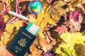 American passport with boarding pass toy globe and plane lying on the maple leaves in the autumn forest.  Travel Concept. Top view Royalty Free Stock Photo