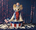 American patriotic Uncle Sam dog gives election speech standing