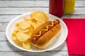 American picnic grilling outside, a hot dog potato chips Royalty Free Stock Photo