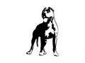 American Pit Bull Pitbull Bully Staffordshire Terrier Pit Bull Dog Pitbull Dog Black Logo Vector Cricut Cut Cutting