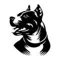 American Pitbull Terrier dog breed pet. Pit Bull silhouette sketch isolated on a white background. Vector illustration Royalty Free Stock Photo