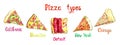 American pizza types, California,Hawaiian, Detroit, New York, Chicago, isolated on white hand painted watercolor illustration