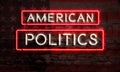 American Politics Conceptual Art Graphic Neon Sign American Flag