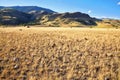 The American prairie in autumn day