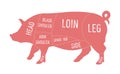 American primal pork meat cuts diagram Royalty Free Stock Photo