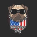 American pug with black glasses coll pug cute dog Royalty Free Stock Photo