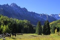 American quarter horses in a field, Rocky Mountains, Colorado