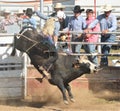 American Rodeo in Colorado Royalty Free Stock Photo