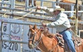 American Rodeo in Colorado Royalty Free Stock Photo