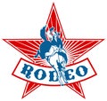 American Rodeo Cowboy horse