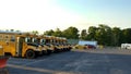 American school busses Royalty Free Stock Photo