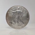 American Silver Eagle, Obverse, Standing with Reflection Royalty Free Stock Photo