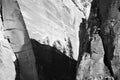 Black and white tall conifer shadows on desert sandstone wall