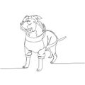 American Staffordshire Terrier, AmStaff, staffy in clothes, hoodie for dogs, dog breed, companion dog one line art