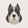 American staffordshire terrier head face vector style Flat Royalty Free Stock Photo