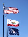 American, state and museum flag at the Ronald Reag Royalty Free Stock Photo