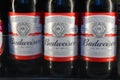American-style Budweiser Beer Bottles Royalty Free Stock Photo