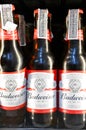 American-style Budweiser Beer Bottles Royalty Free Stock Photo