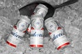 American-style Budweiser Beer Bottles Produced by Anheuser-Busch Is a product imported in a convenient store Royalty Free Stock Photo