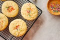 American style round cookies with confetti (shortbread) on a wire rack on a grey stone backdrop.