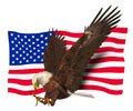 American Symbol