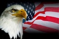 American symbol - USA flag with eagle