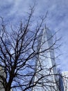 One World Trade Center in Manhattan, New York business district, USA.