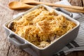 American tetrazzini with spaghetti, mushrooms, cheese, chicken c