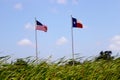 American and Texas Flag Waving Above Cattail plants