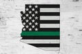 American thin green line flag on map of Arizona Royalty Free Stock Photo