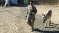 american troops veterinary