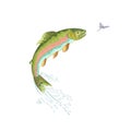 American trout jumps vector ilustration Royalty Free Stock Photo