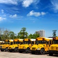 American typical school buses row in a parking lot Royalty Free Stock Photo