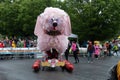 American Visionary Arts Museum Kinetic Sculpture Race