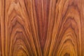 American walnut natural wood texture