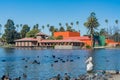 American white pelican, black coot, ducks all around Lincoln Park Royalty Free Stock Photo