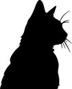 American Wirehair Cat Black Silhouette Generative Ai Royalty Free Stock Photo