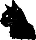 American Wirehair Cat Black Silhouette Generative Ai Royalty Free Stock Photo