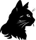 American Wirehair Cat Black Silhouette Generative Ai Royalty Free Stock Photo