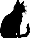 American Wirehair Cat Black Silhouette Generative Ai Royalty Free Stock Photo