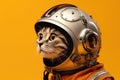 American Wirehair Cat Dressed As A Robot