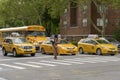 The American woman crosses the pedestrian crossing while the tax