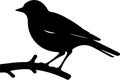 AmericanRobin Black Silhouette Generative Ai Royalty Free Stock Photo