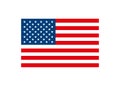 Amerika flag icon. USA symbol. Sign patriot poster vector