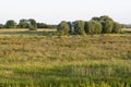 Amerongse Bovenpolder, Utrecht; Amerongse Bovenpolder, Netherlands Royalty Free Stock Photo