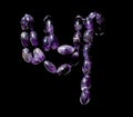 Amethyst Beads Prayer Beads Necklace on Black Background Royalty Free Stock Photo