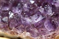 Amethyst cluster close-up Royalty Free Stock Photo