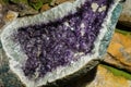 Amethyst Cluster Rough Crystals