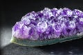 Amethyst crystal druzy a purple variety of quartz Royalty Free Stock Photo