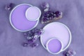 Amethyst crystals with a round frame with a place for designer`s Royalty Free Stock Photo